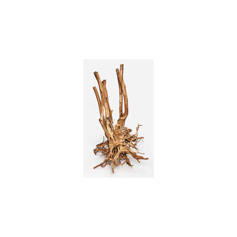 Wood Stump 60–150 cm – Racine Naturelle XXL – Vente au kg