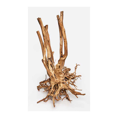Wood Stump 60–150 cm – Racine Naturelle XXL – Vente au kg