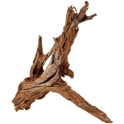 RACINE MANGROVE XL 50-70cm HOBBY