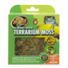 Terrarium Moss SM 1.31L