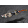Epiplatys annulatus (Pseudepiplatys annulatus) (Killi clown) 2 cm
