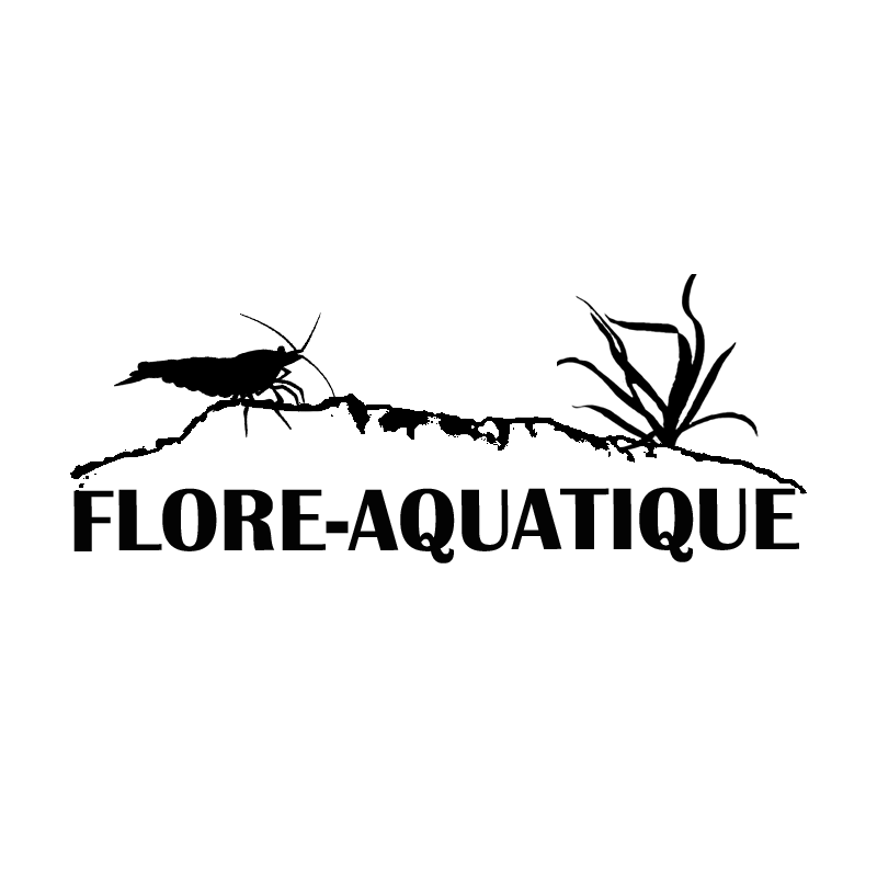 Forfait invertébrés