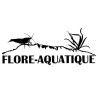 Betta splendens mâle Show HM Rosetail 4-4,5 cm