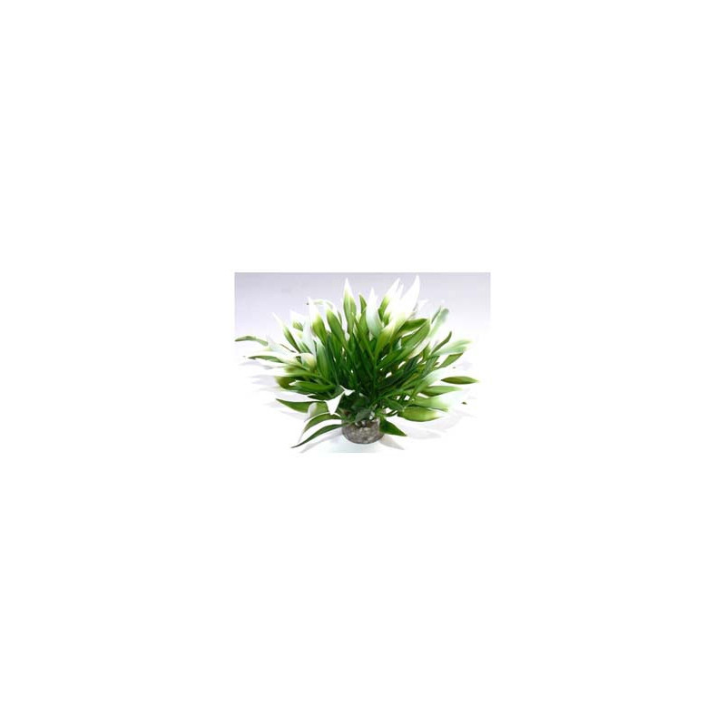 AQUATIC LEAVES H:12cm SCALARE