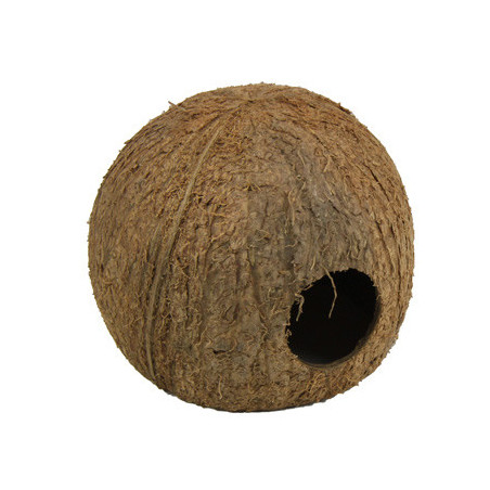 COCOS CAVA 3/4 JBL