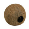 COCOS CAVA 3/4 JBL