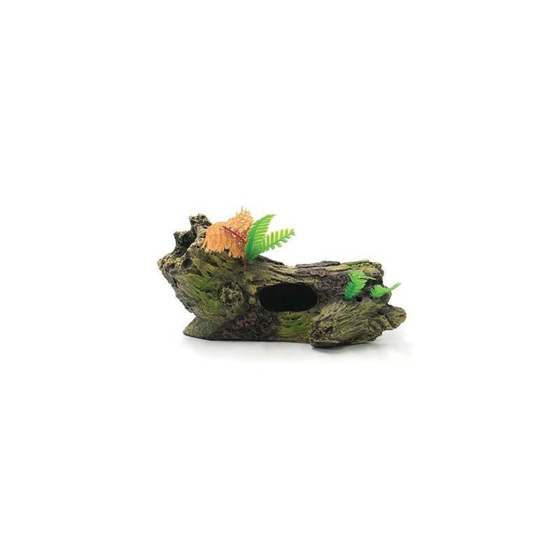 Souche 15.3x9x7.2cm SCALARE Souche 15.3x9x7.2cm SCALARE