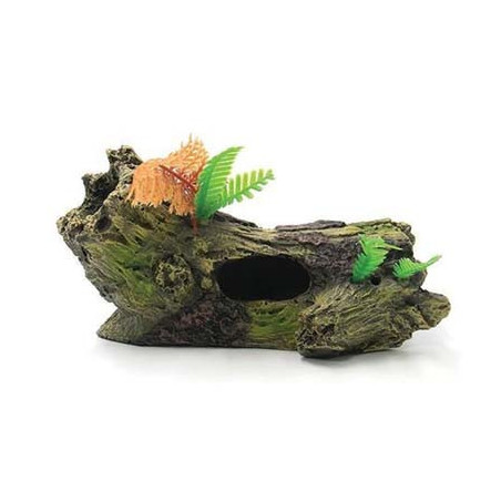 Souche 15.3x9x7.2cm SCALARE