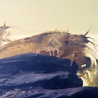 Crevette bambou Atyopsis moluccensis – Crevette d’aquarium filtreuse