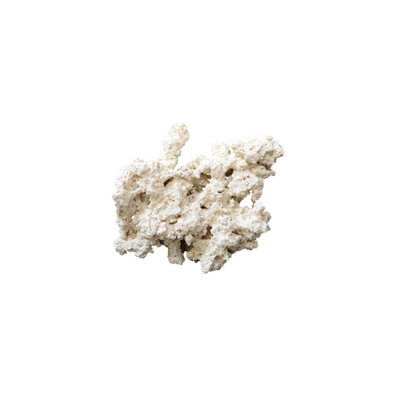 ROCHE REEF-ROCKS naturel aragonite 25-40cm (carton de 20kg) ARKA