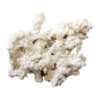 ROCHE REEF-ROCKS naturel aragonite 25-40cm (carton de 20kg) ARKA