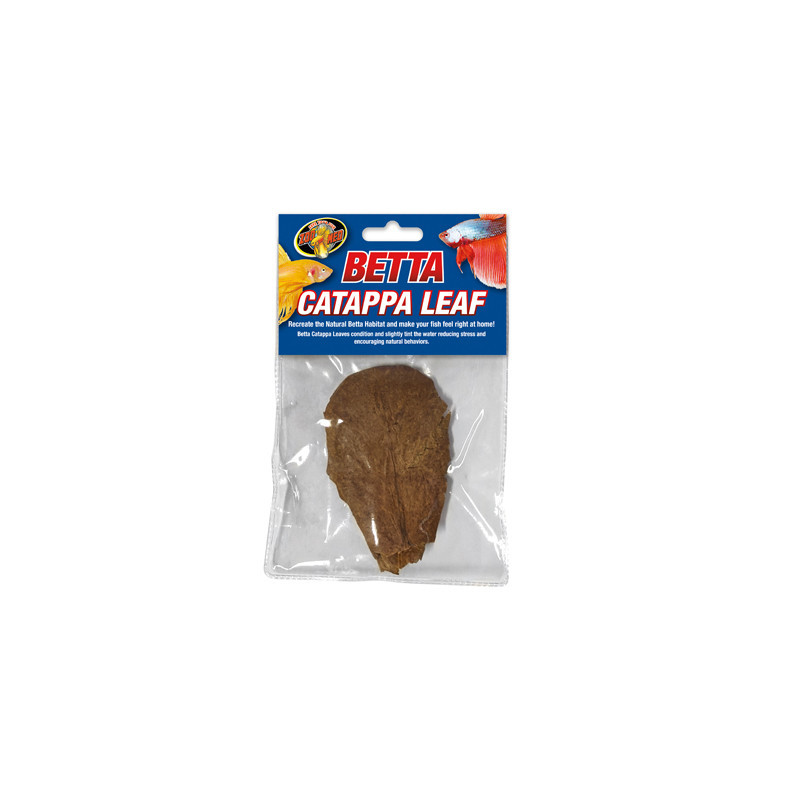 BETTA CATAPPA LEAF BETTA CATAPPA LEAF