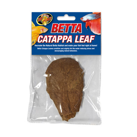 BETTA CATAPPA LEAF