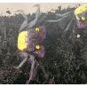Crabe Vampire (Geosesarma dennerle) – Crabe semi-terrestre coloré