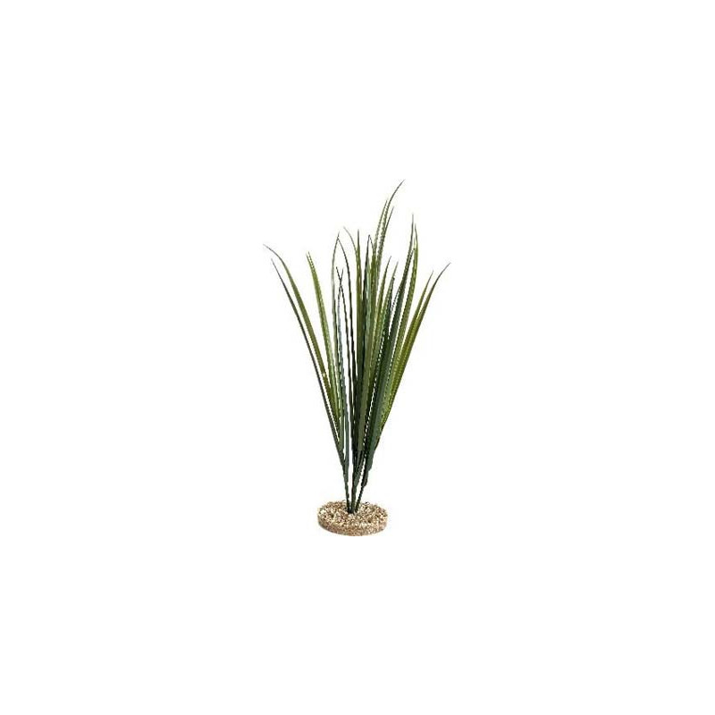 TERRA HERBE 65cm SCALARE