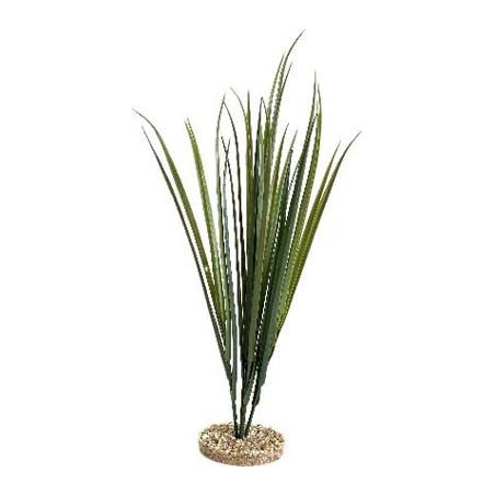 TERRA HERBE 65cm SCALARE