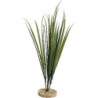 TERRA HERBE 65cm SCALARE