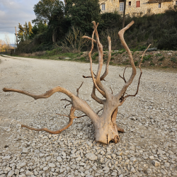 Racine d’aquarium WYSIWYG – Racine aquarium – 80 cm – Sélection