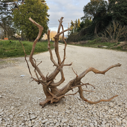 Racine d’aquarium WYSIWYG – Racine aquarium – 80 cm – Sélection