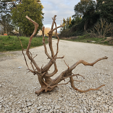 Racine d’aquarium WYSIWYG – Racine aquarium – 80 cm – Sélection