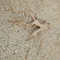 Racine d’aquarium WYSIWYG – Racine aquarium – 80 cm – Sélection