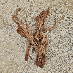 Racine d’aquarium WYSIWYG – Racine aquarium – 90 cm