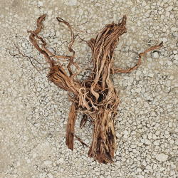 Racine d’aquarium WYSIWYG – Racine aquarium – 90 cm