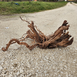 Racine d’aquarium WYSIWYG – Racine aquarium – 90 cm