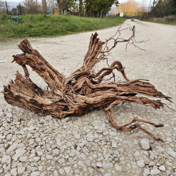 Racine d’aquarium WYSIWYG – Racine aquarium – 90 cm