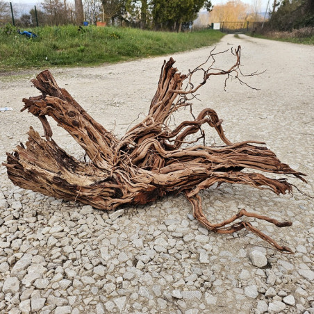 Racine d’aquarium WYSIWYG – Racine aquarium – 90 cm