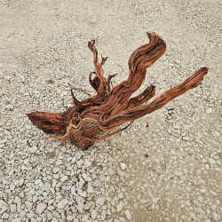 Racine d’aquarium WYSIWYG – Racine aquarium – 65 cm