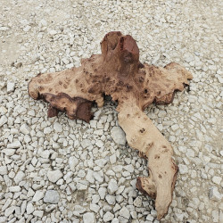 Racine d’aquarium WYSIWYG – Racine aquarium – 60 cm