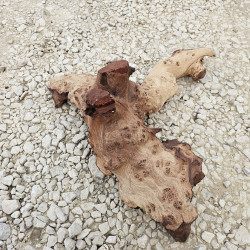 Racine d’aquarium WYSIWYG – Racine aquarium – 60 cm