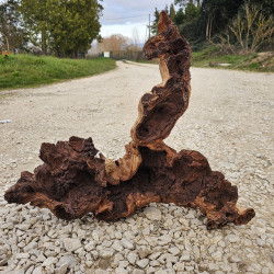 Racine d’aquarium WYSIWYG – Racine aquarium – 60 cm