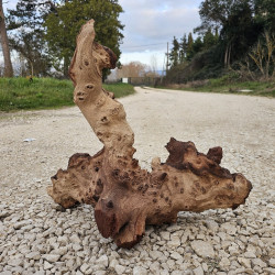 Racine d’aquarium WYSIWYG – Racine aquarium – 60 cm