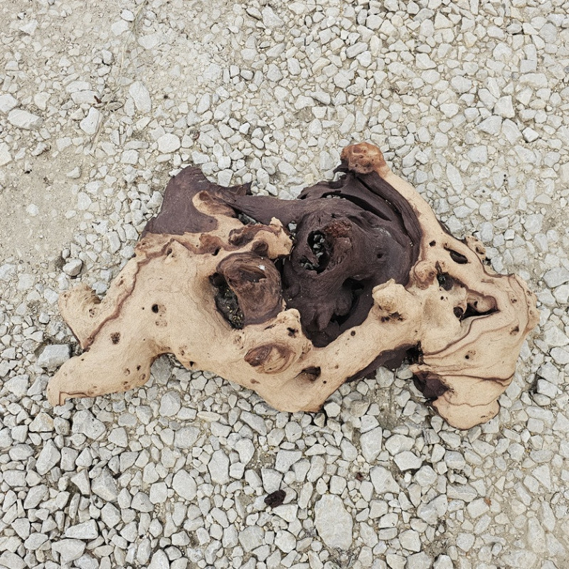 Racine d’aquarium WYSIWYG – Racine aquarium – 65 cm