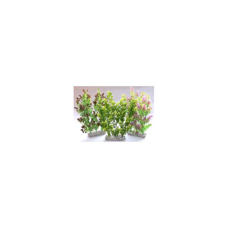 HEDGE MAXI H:35cm SCALARE