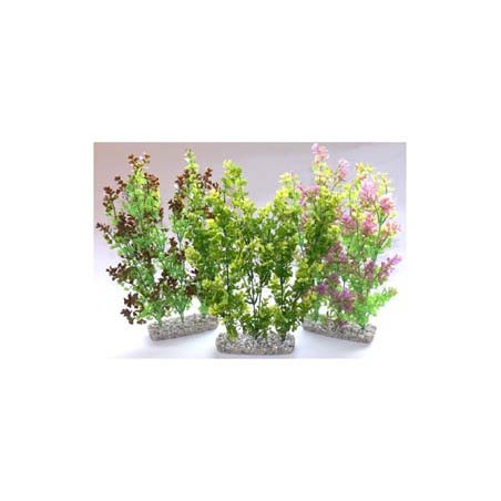 HEDGE MAXI H:35cm SCALARE