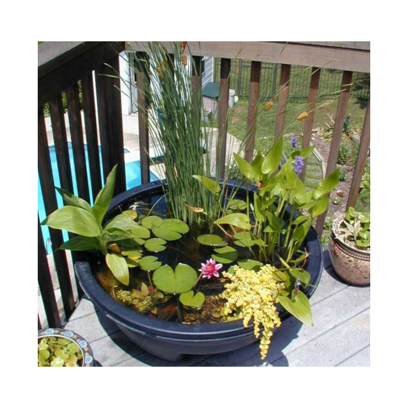 Pack Écosystème Miniature – Poubellarium & Mini Bassin