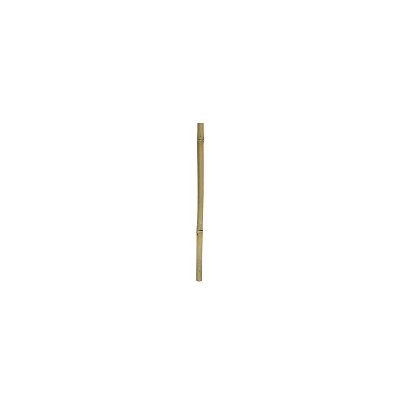 *BAMBOO STIX 50cm dia.2-3cm HOBBY (sur commande) *BAMBOO STIX 50cm dia.2-3cm HOBBY (sur commande)