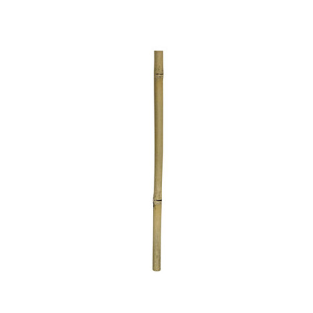 *BAMBOO STIX 50cm dia.2-3cm HOBBY (sur commande)