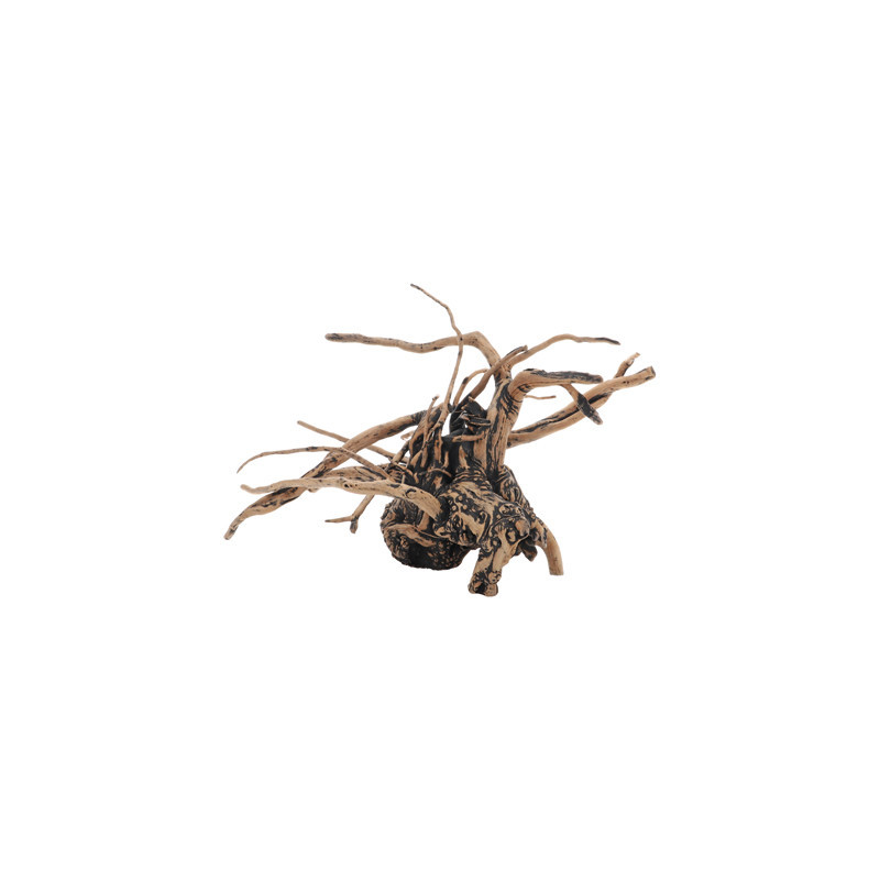 RACINE FINGERWOOD SHADOW L 40-60cm HOBBY RACINE FINGERWOOD SHADOW L 40-60cm HOBBY