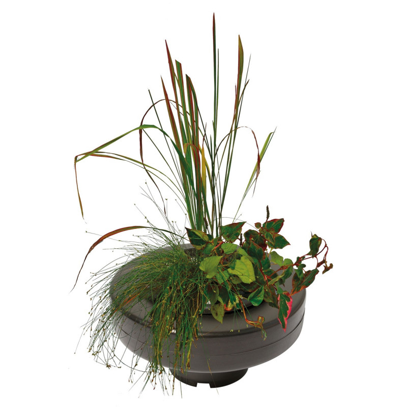 Panier plante flottant D30 cm pour bassin
