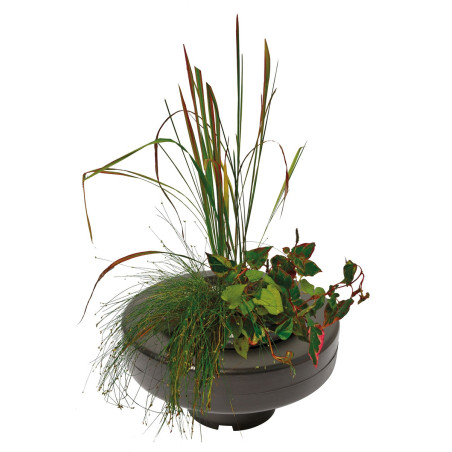 Panier plante flottant D30 cm pour bassin