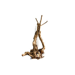 Racine Wood Stump XXL 100-140 cm – Aquarium | SCALARE