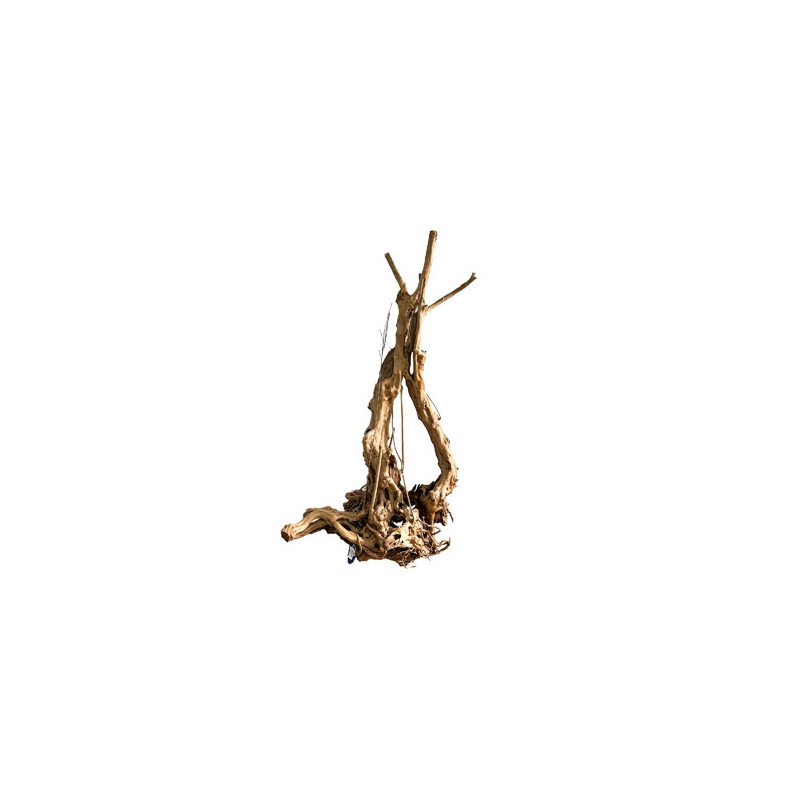 Racine Wood Stump XXL 100-140 cm – Aquarium | SCALARE