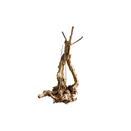Racine Wood Stump XXL 100-140 cm – Aquarium | SCALARE