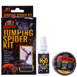 Jumping Spider Kit Zoomed