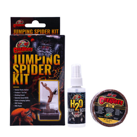 Jumping Spider Kit Zoomed