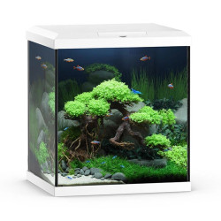 Aquarium Vio Cube 80 blanc JUWEL